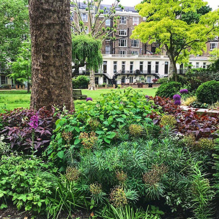 Beautiful Garden with Flowers and Trees