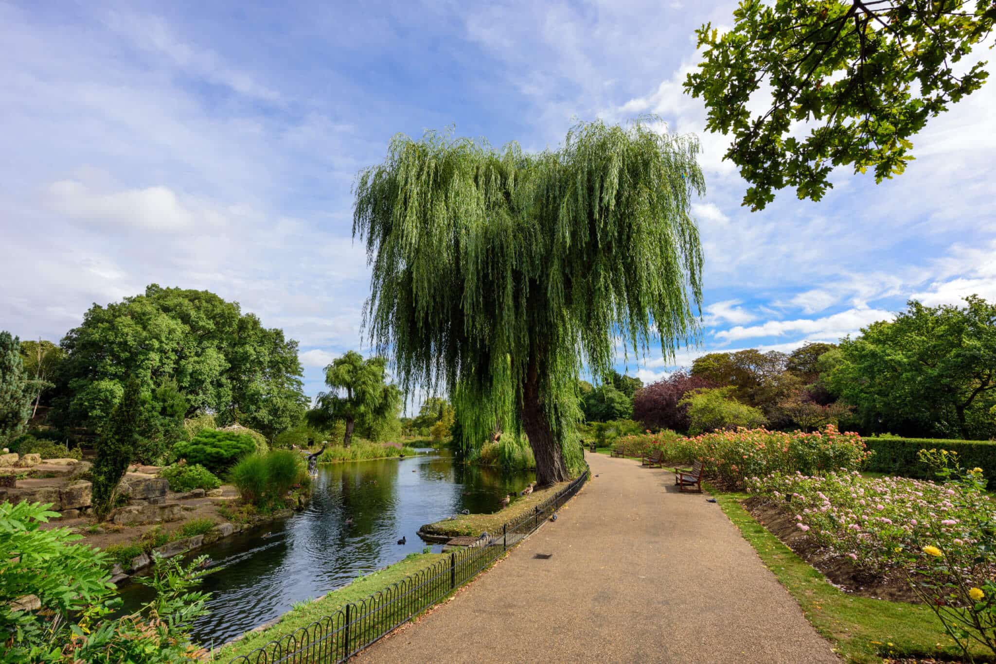 A lush park scene in St Johns Wood, London, features a weeping willow tree beside a calm pond. The trees long branches sway gently as a pebbled path curves alongside the water. Flowering bushes and green trees envelope the peaceful landscape under a partly cloudy sky.