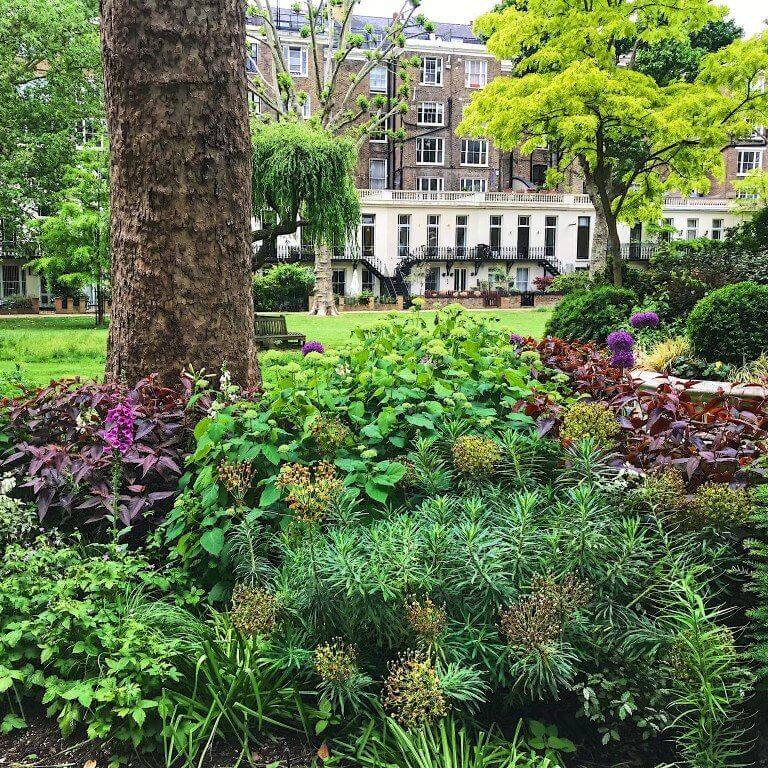 Beautiful Garden with Flowers and Trees